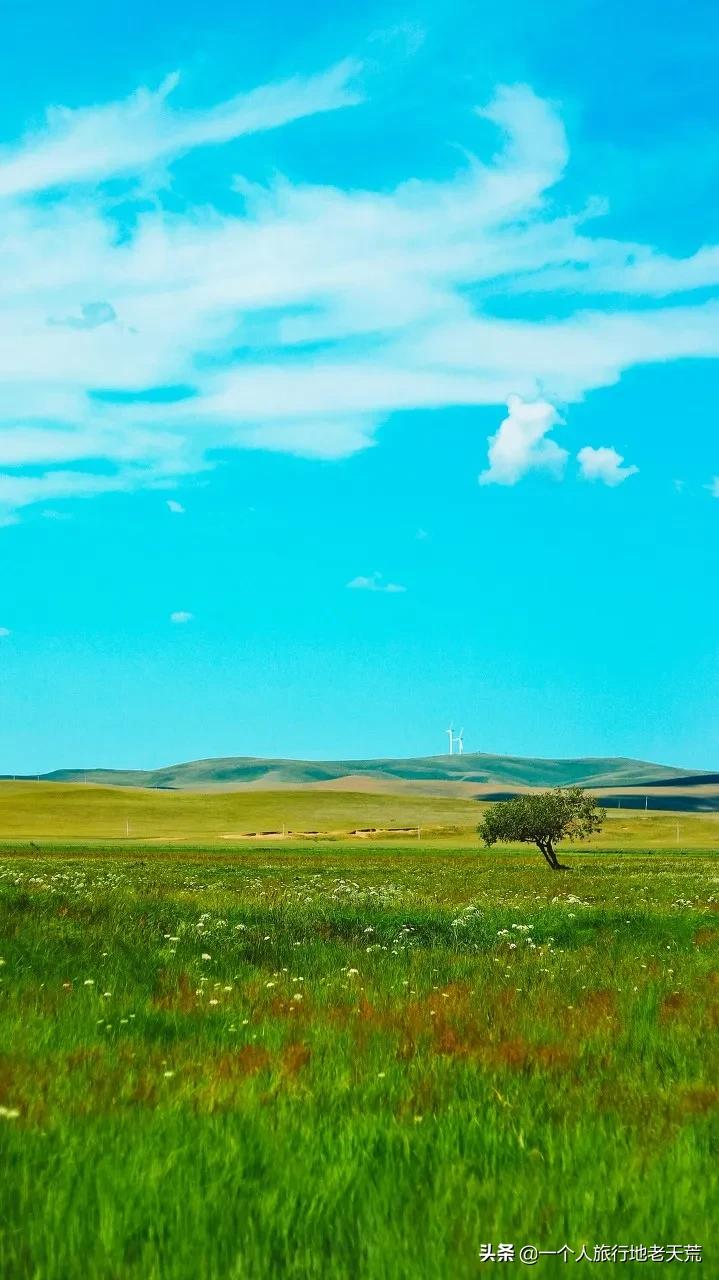 夏天最美的12条自驾线，未来三个月沿途美成天堂，第一条就想出发(图26)