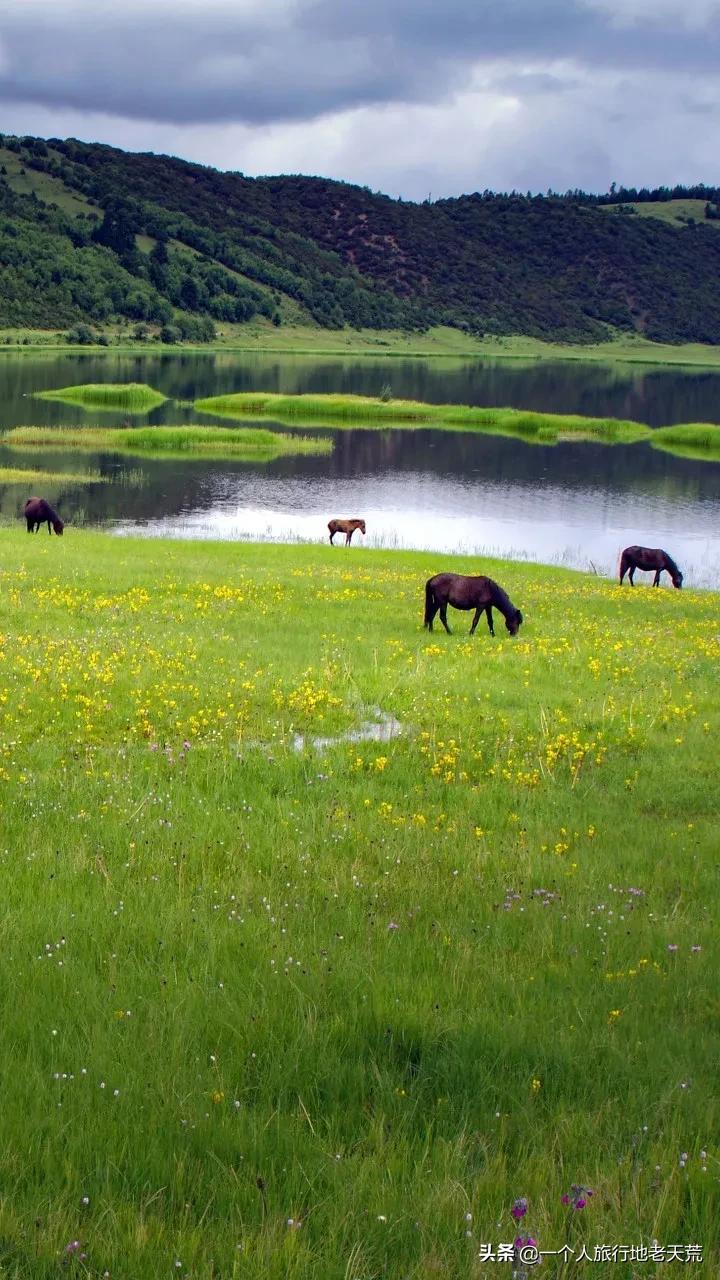 夏天最美的12条自驾线，未来三个月沿途美成天堂，第一条就想出发(图33)