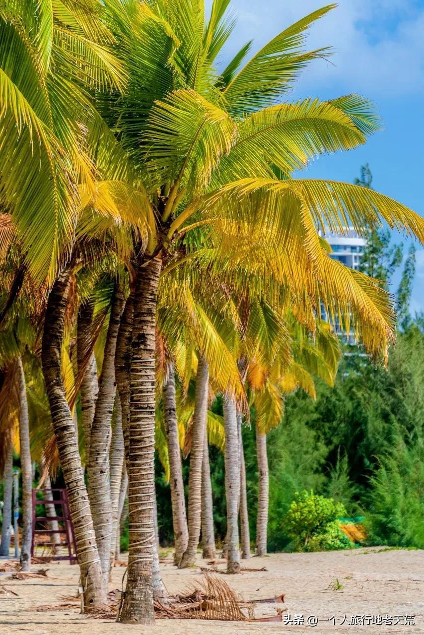 夏天最美的12条自驾线，未来三个月沿途美成天堂，第一条就想出发(图42)