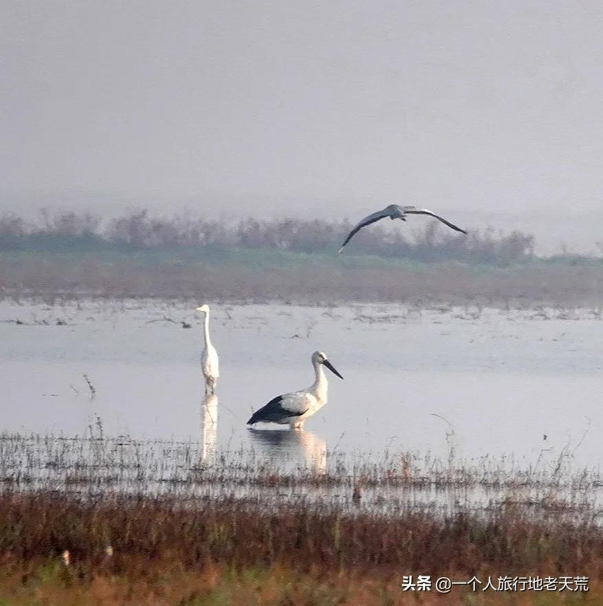 夏天最美的12条自驾线，未来三个月沿途美成天堂，第一条就想出发(图54)