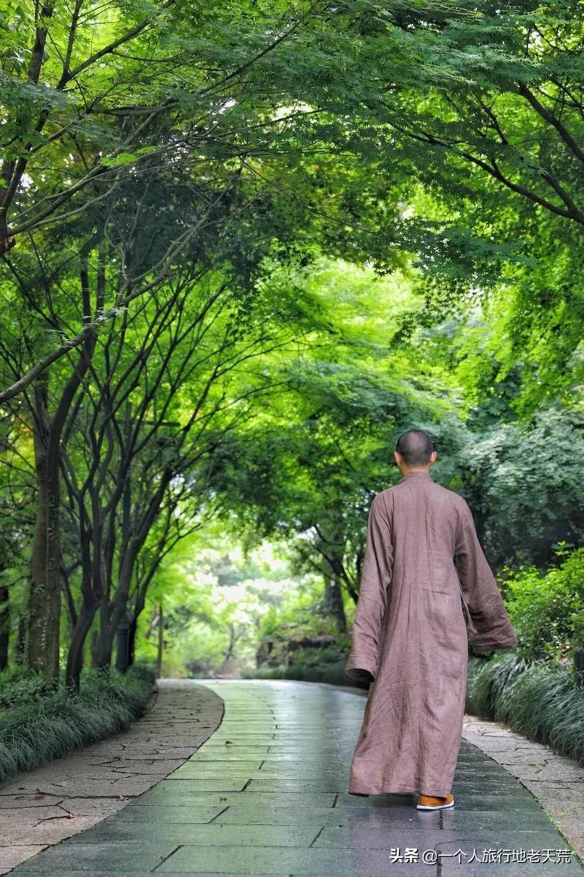 夏天最美的12条自驾线，未来三个月沿途美成天堂，第一条就想出发(图75)