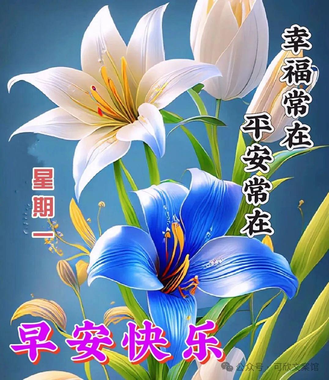 周一早安/适合周一发朋友圈特有能量且发光的早安文案‖(图2)