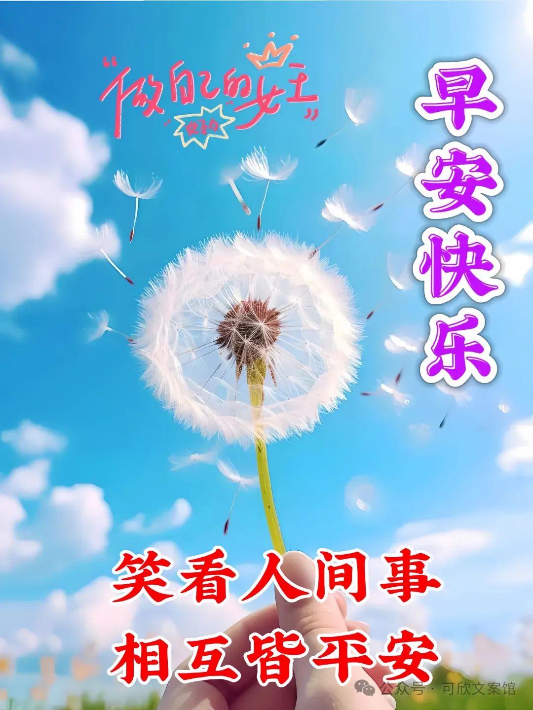 周一早安/适合周一发朋友圈特有能量且发光的早安文案‖(图3)