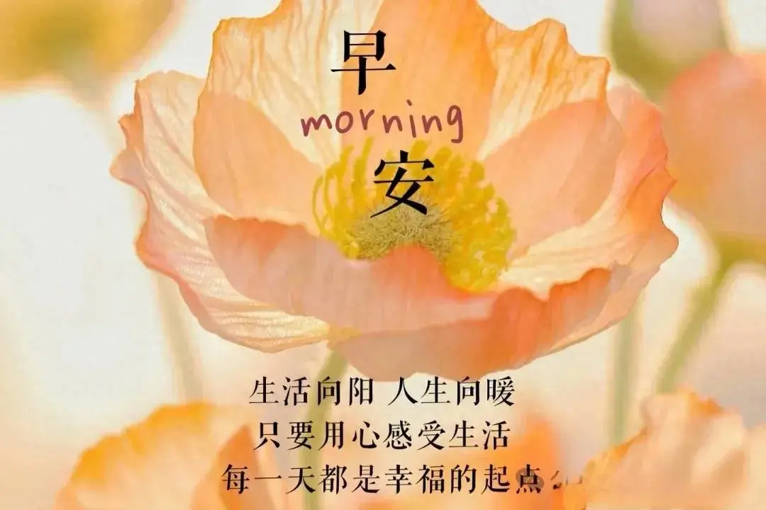 周一早安/适合周一发朋友圈元气满满的正能量早安文案(图1)