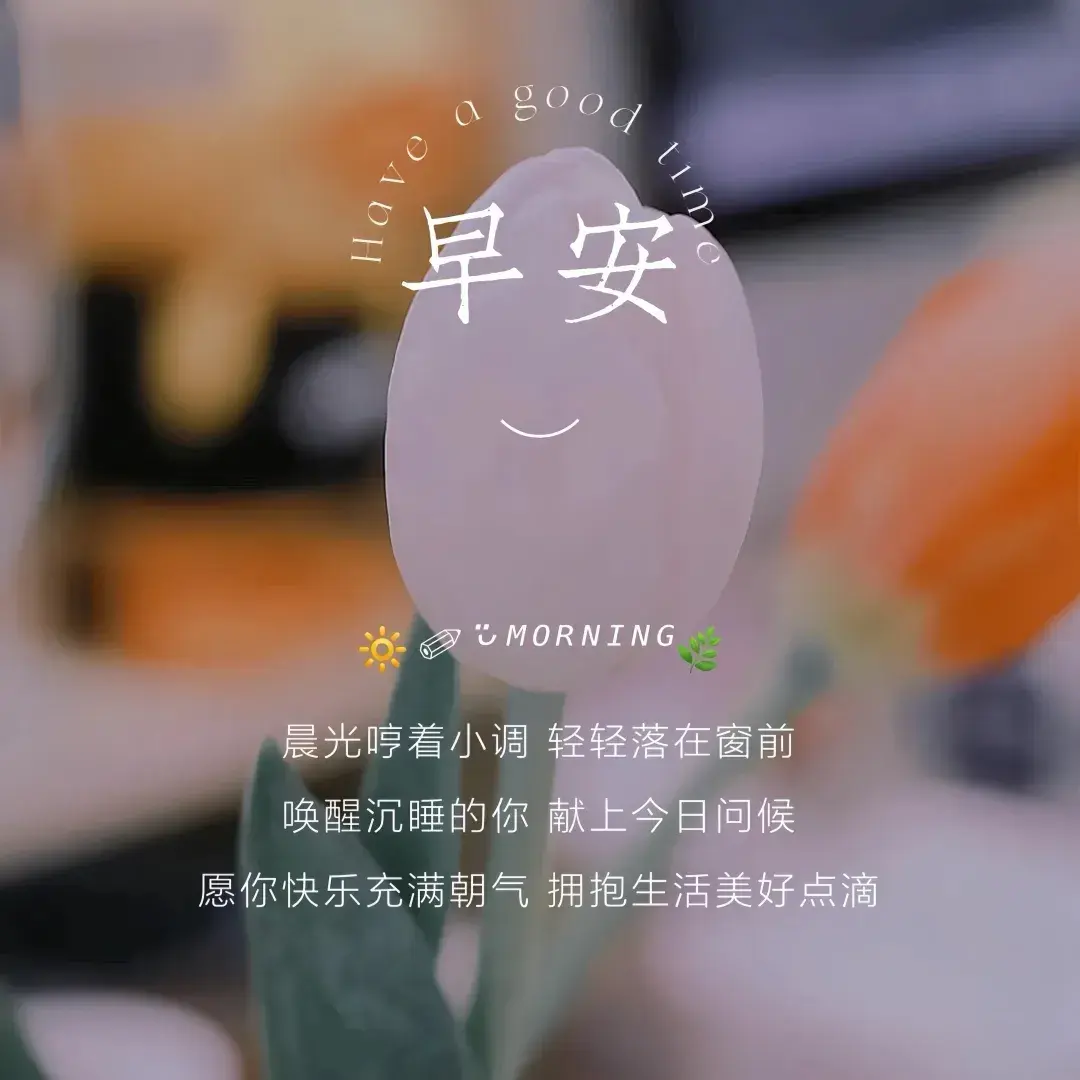 周一早安/适合周一发朋友圈元气满满的正能量早安文案(图3)
