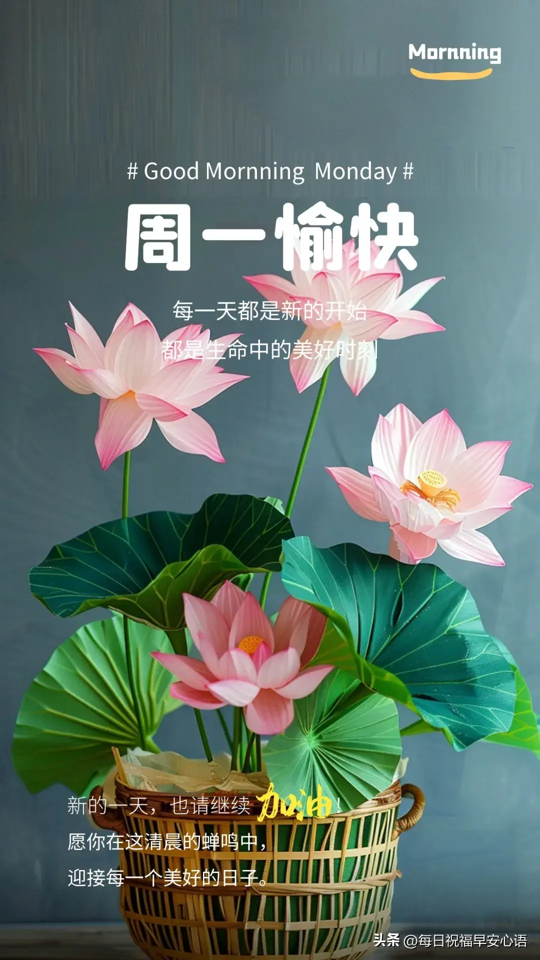 星期一早上好，最新10句周一早安祝福语，新的一周加油(图2)