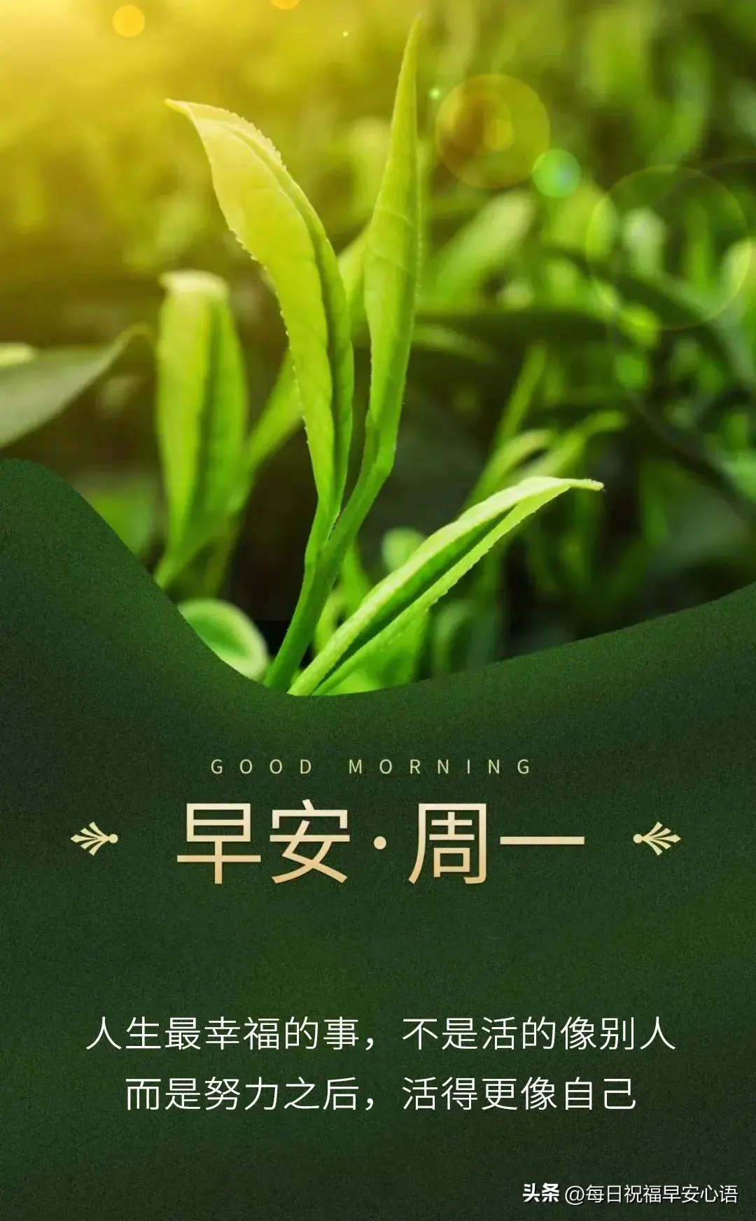 星期一早上好，最新10句周一早安祝福语，新的一周加油(图3)