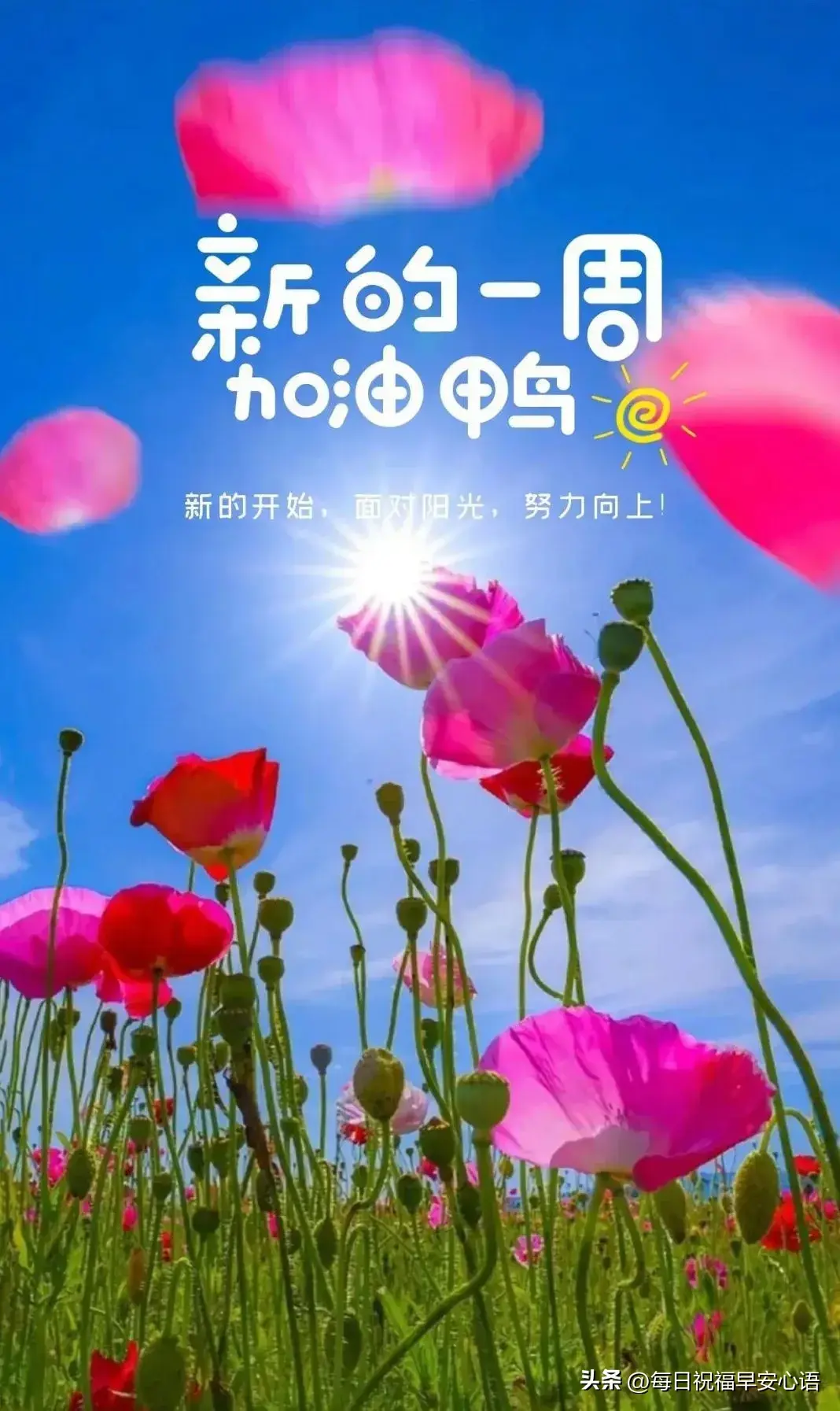 星期一早上好，最新10句周一早安祝福语，新的一周加油(图4)