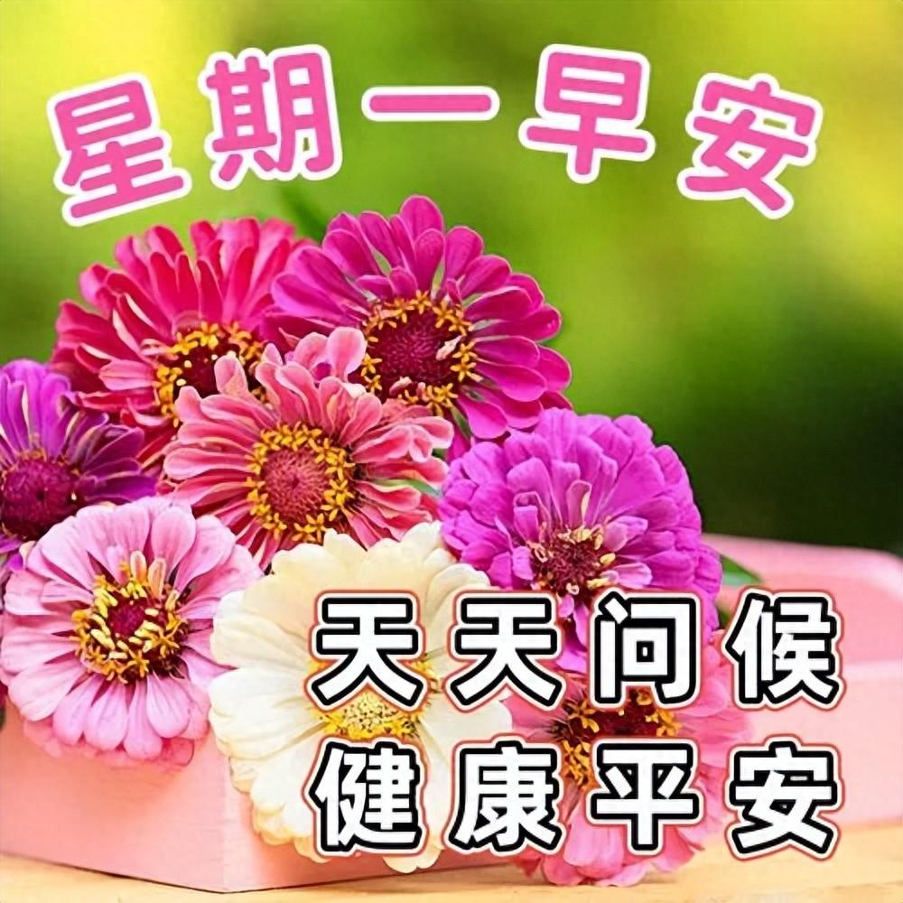 15张最新星期一早上好祝福语短句，祝你心情愉快，周一早安(图1)
