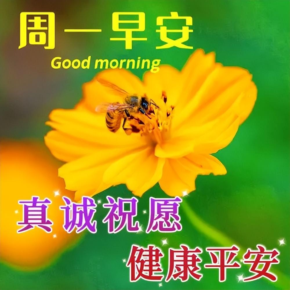 15张最新星期一早上好祝福语短句，祝你心情愉快，周一早安(图2)