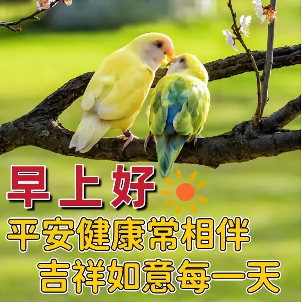15张最新星期一早上好祝福语短句，祝你心情愉快，周一早安(图6)