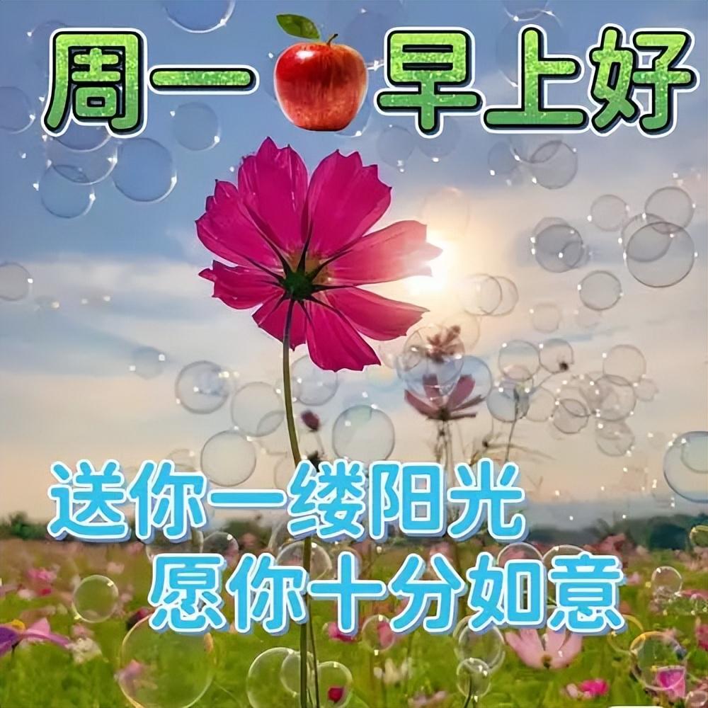 15张最新星期一早上好祝福语短句，祝你心情愉快，周一早安(图7)