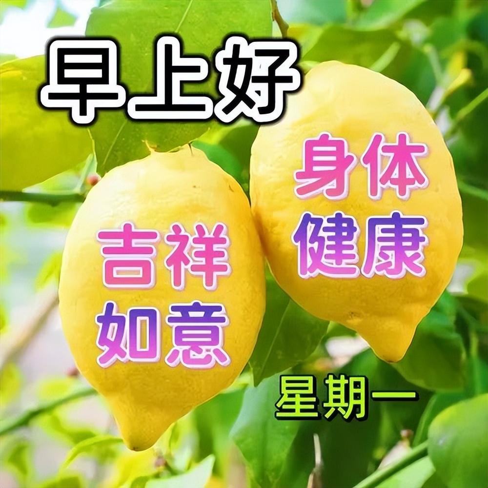 15张最新星期一早上好祝福语短句，祝你心情愉快，周一早安(图10)