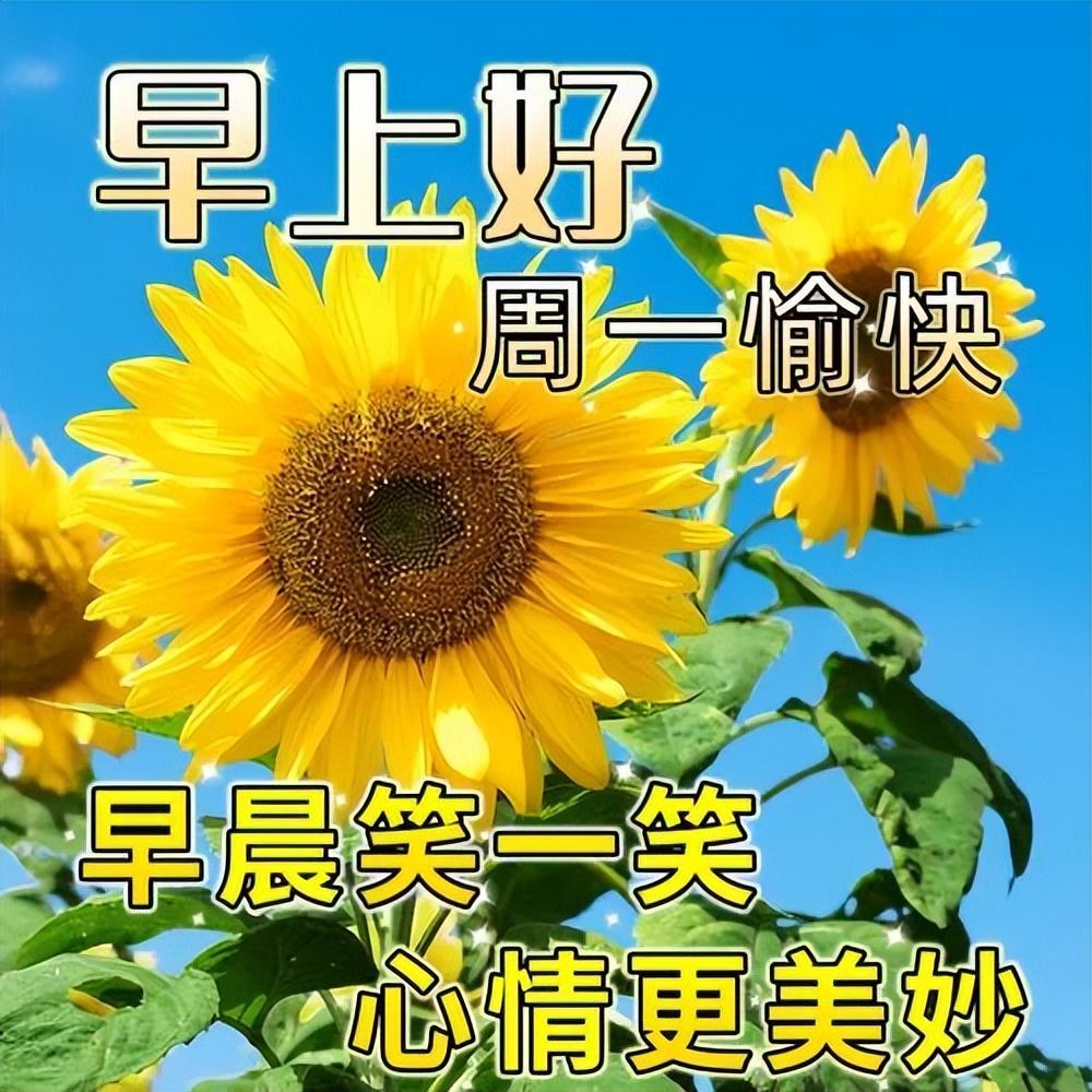 15张最新星期一早上好祝福语短句，祝你心情愉快，周一早安(图11)