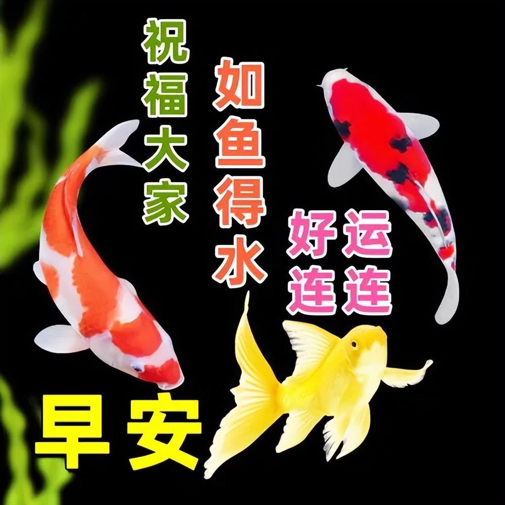 15张最新星期一早上好祝福语短句，祝你心情愉快，周一早安(图14)