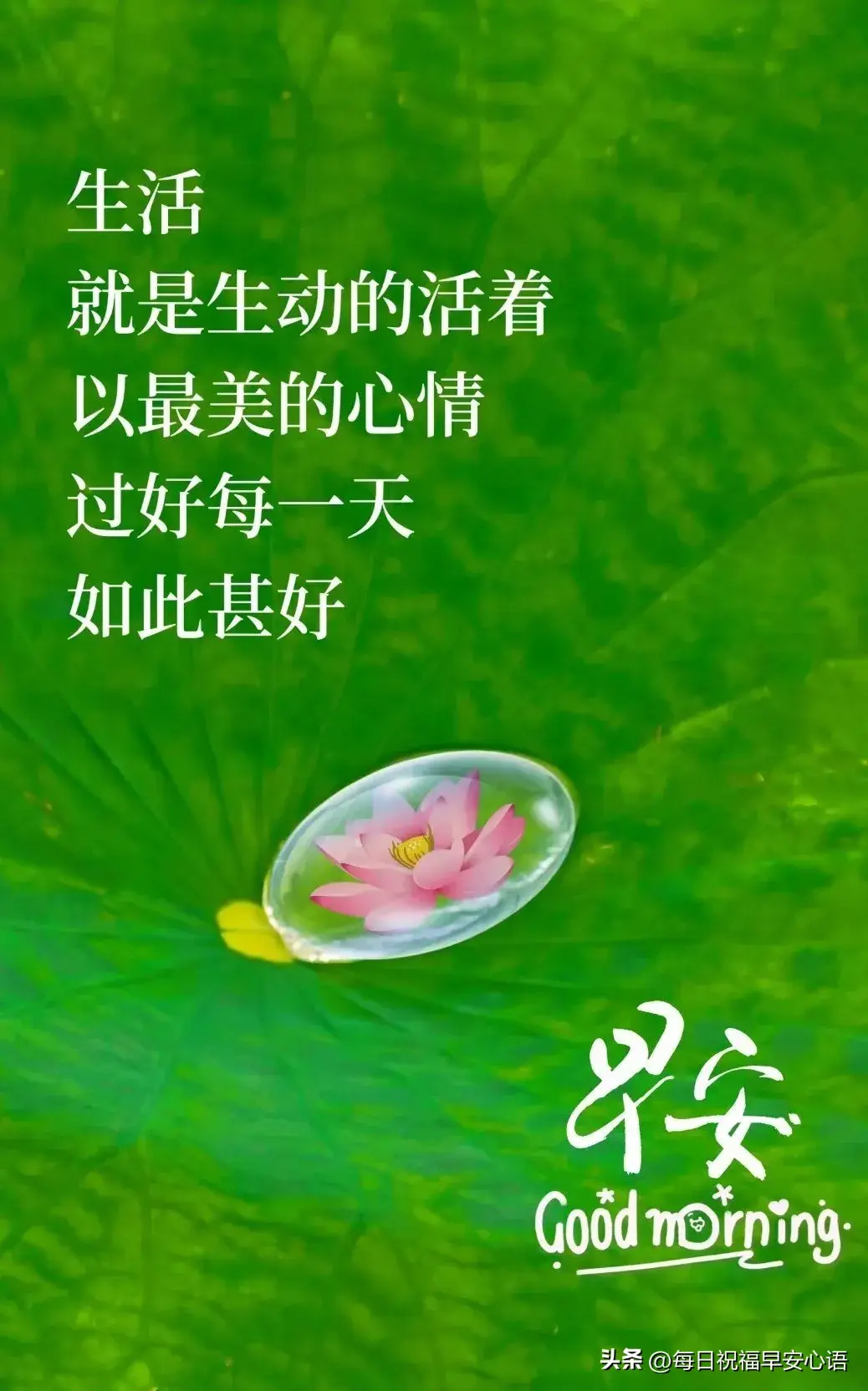 周一早安，10句简短问候祝福语，希望日子安静，抬头皆是温柔(图3)