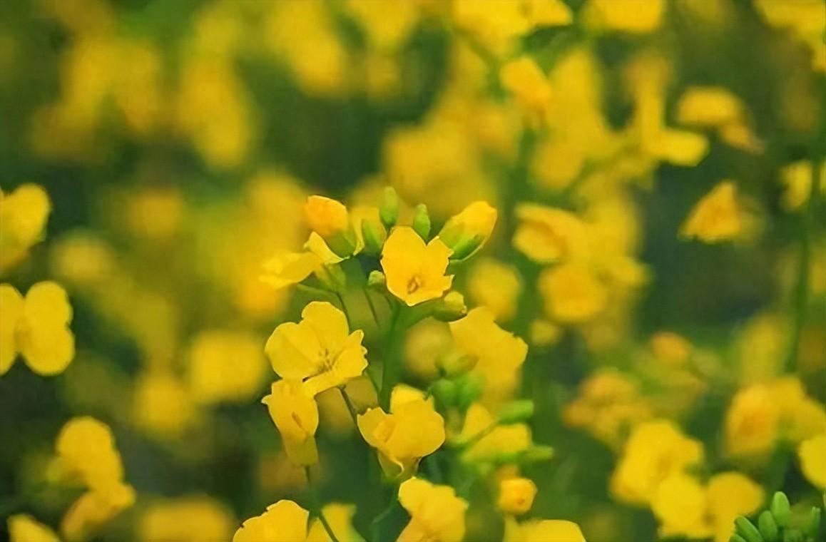 心灵之旅：20句旅行心情句子，唤醒你的探索欲望(图1)