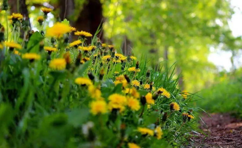 心灵之旅：20句旅行心情句子，唤醒你的探索欲望(图4)