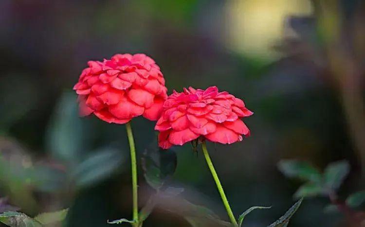 心灵之旅：20句旅行心情句子，唤醒你的探索欲望(图5)