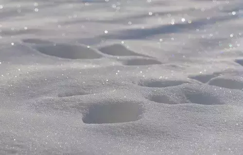 座右铭只知道“有志者事竟成”吗？拜托Update一下啦！(图1)