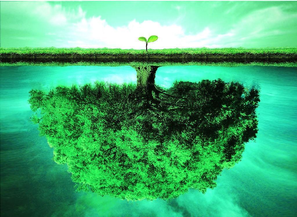 向死而生，心有所畏(图5)