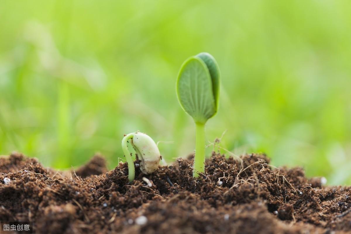 面对突如其来的癌症，如何向死而生？医生保罗为我们做出了榜样(图13)