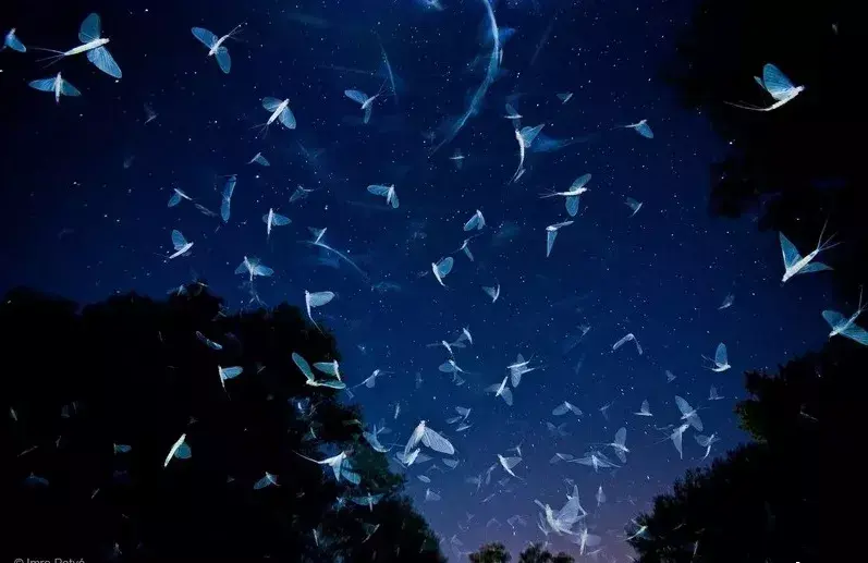 向死而活，生命总有难承之重(图3)