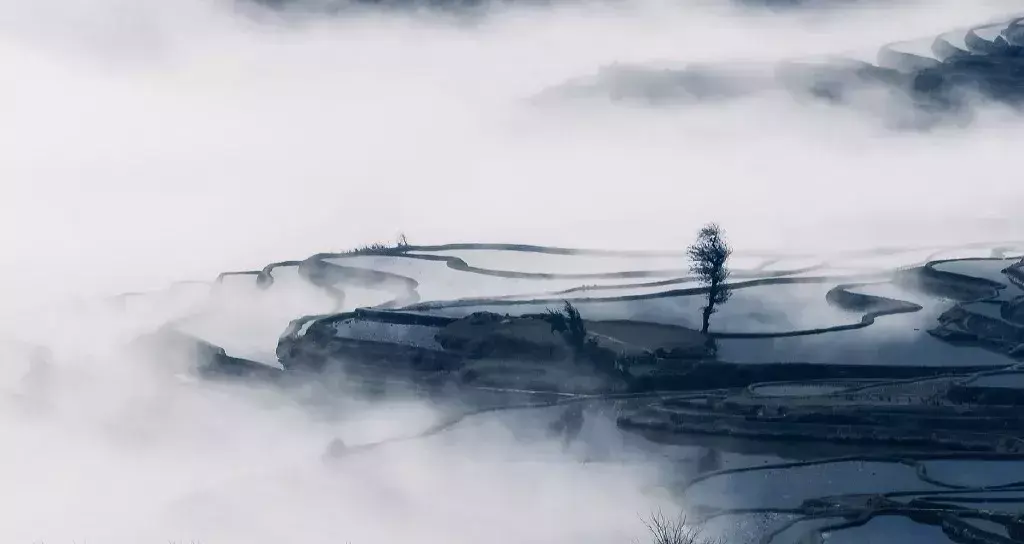 向死而活，生命总有难承之重(图5)