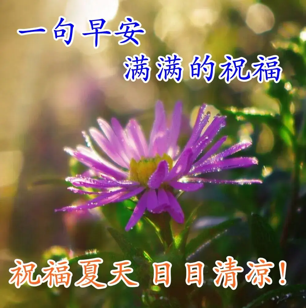 致自己成长路上的心情说说，阳光美好，很潮很走心(图3)