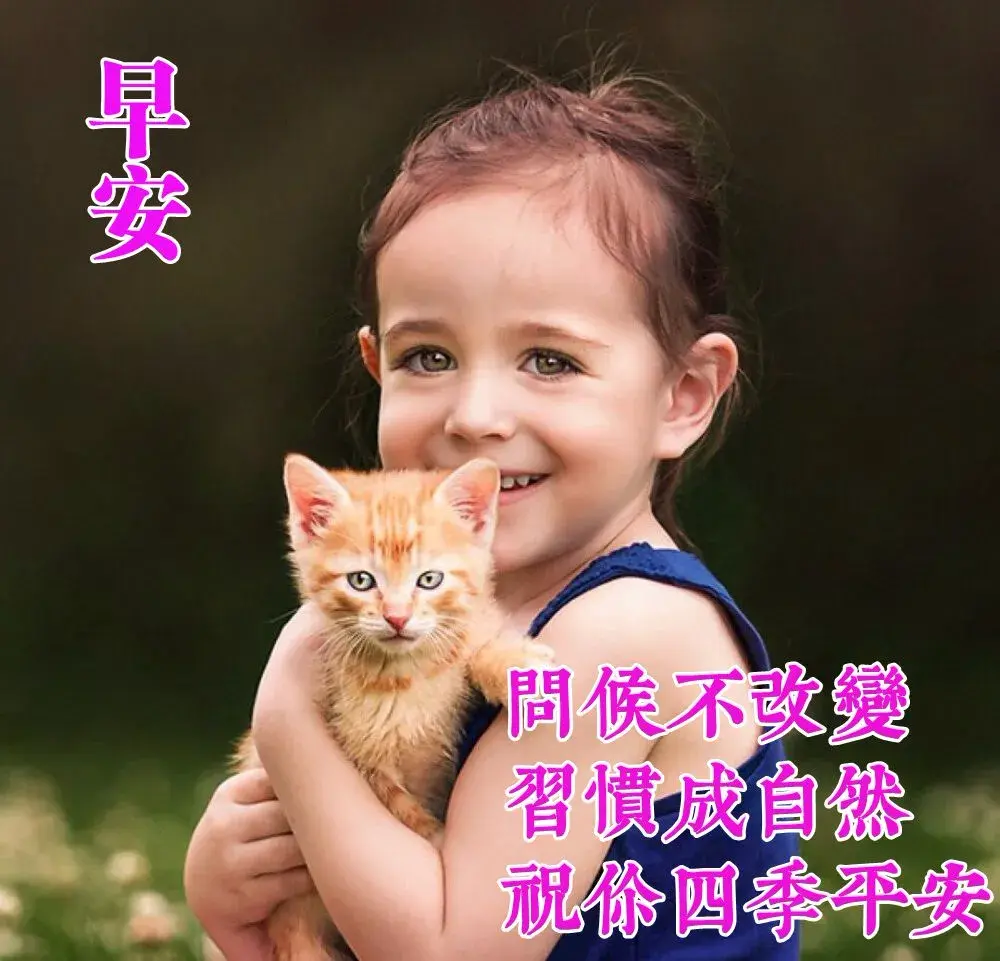 致自己成长路上的心情说说，阳光美好，很潮很走心(图4)