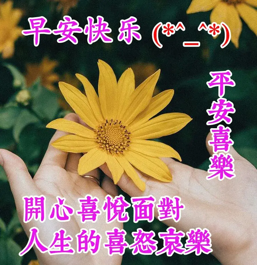 致自己成长路上的心情说说，阳光美好，很潮很走心(图5)