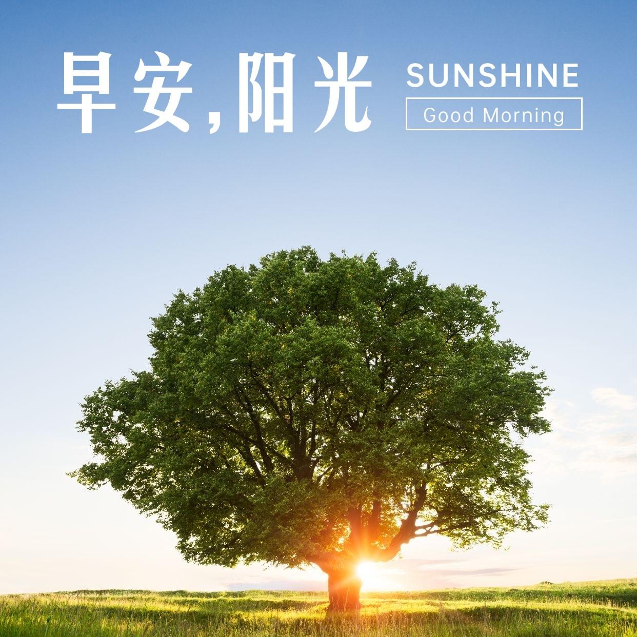 早安问候语 生活嘛，慢慢来，所有的好运都在路上(图7)