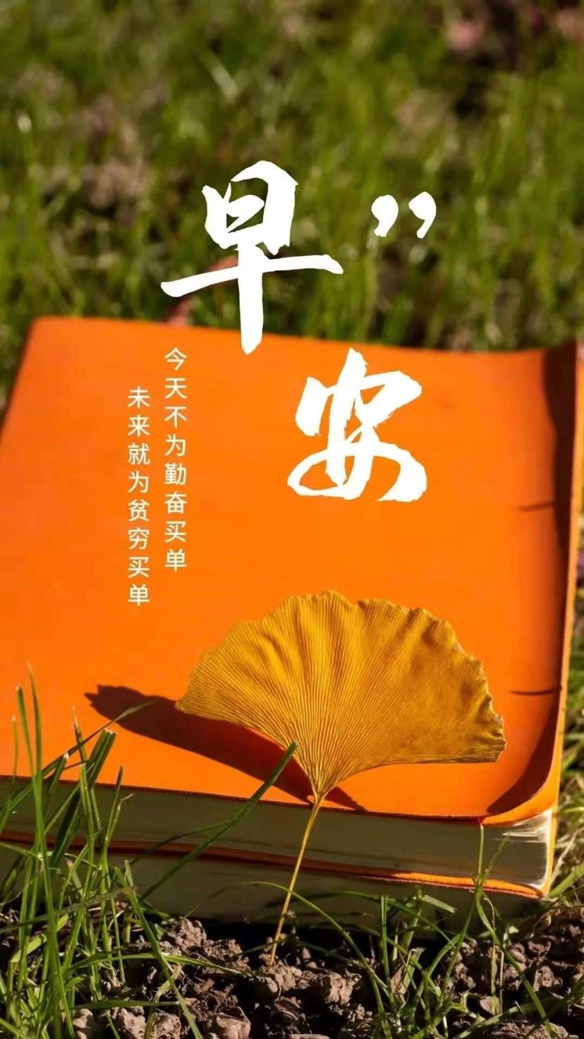 早安问候语 生活嘛，慢慢来，所有的好运都在路上(图9)