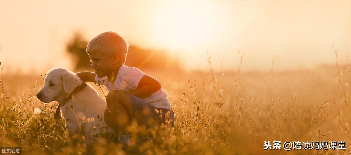 素材：描写“感恩”的好词、好段、名言警句汇总(图4)