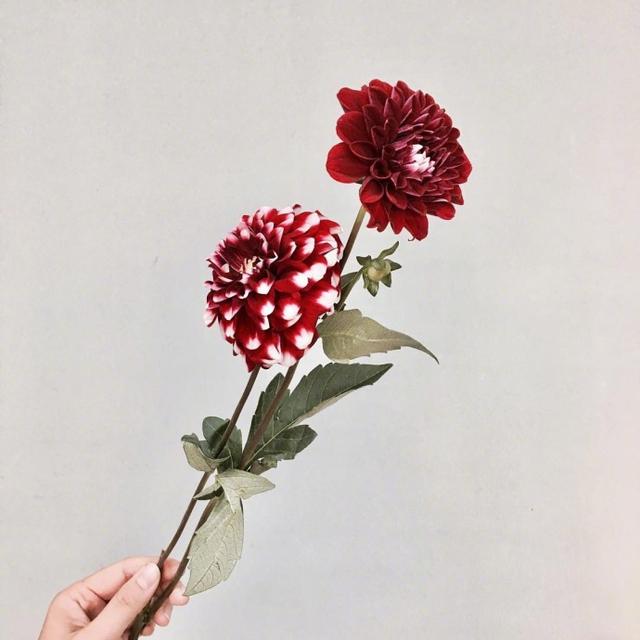 让你瞬间成长的24句话，经典窝心，深度好文(图2)