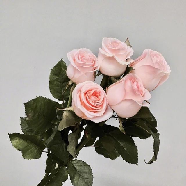 让你瞬间成长的24句话，经典窝心，深度好文(图3)