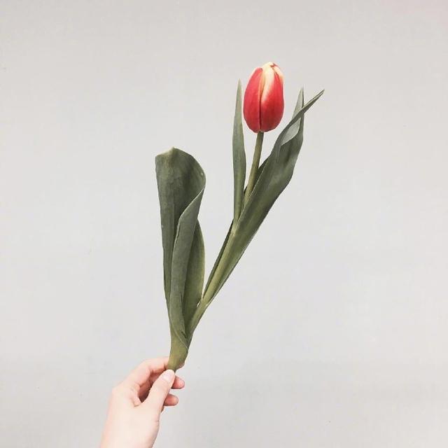 让你瞬间成长的24句话，经典窝心，深度好文(图6)