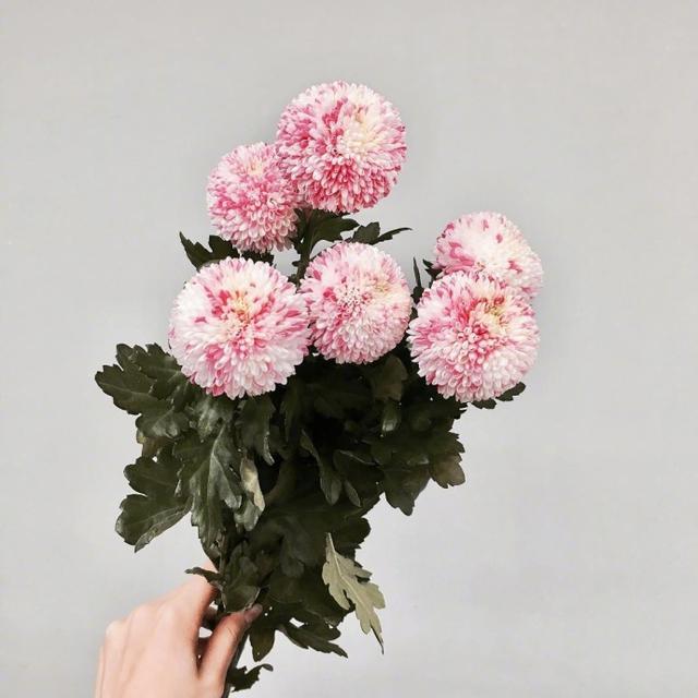 让你瞬间成长的24句话，经典窝心，深度好文(图7)