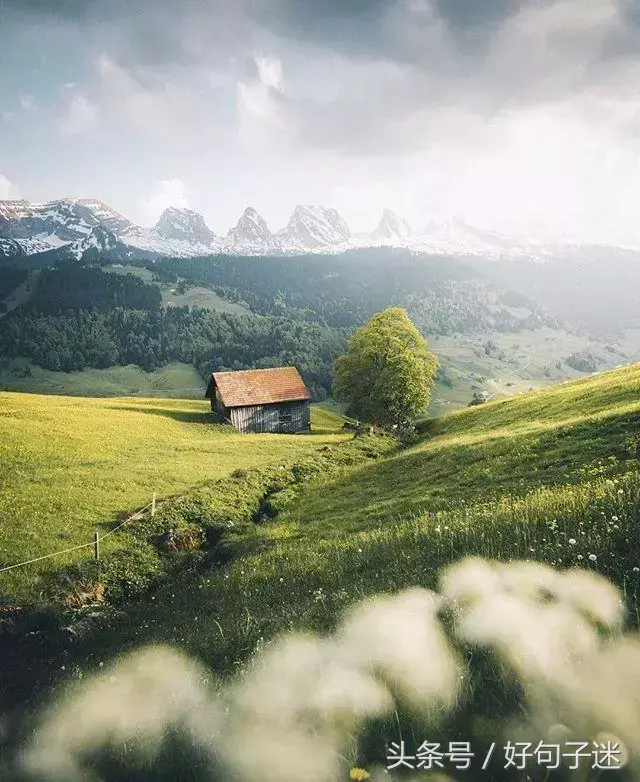 朋友圈里能骂醒人的毒鸡汤句子，那句让你深有感触！(图1)