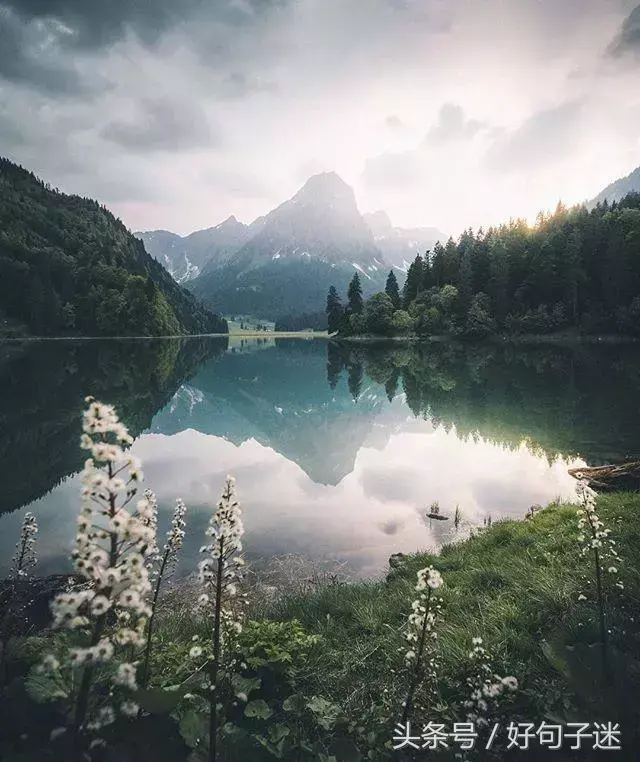 朋友圈里能骂醒人的毒鸡汤句子，那句让你深有感触！(图3)