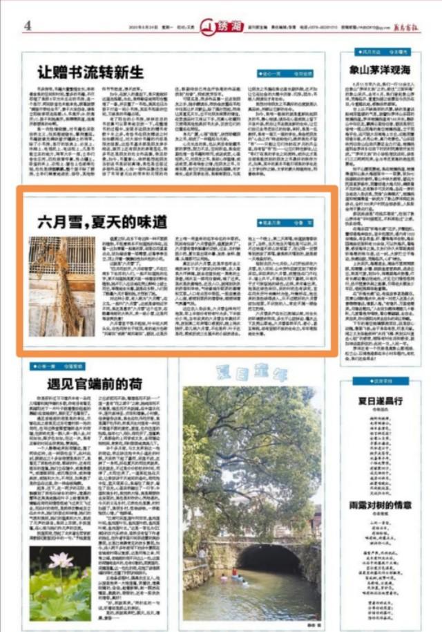 鲁邹随笔丨六月雪,夏天的味道(图2) 鲁邹随笔丨六月雪,夏天的味道(图2)