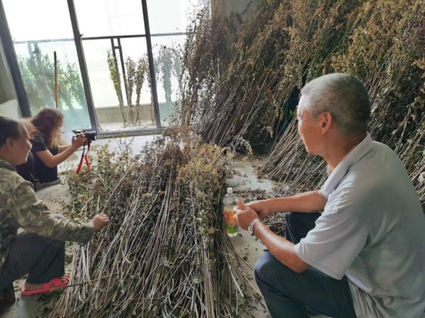 鲁邹随笔丨六月雪,夏天的味道(图3) 鲁邹随笔丨六月雪,夏天的味道(图3)