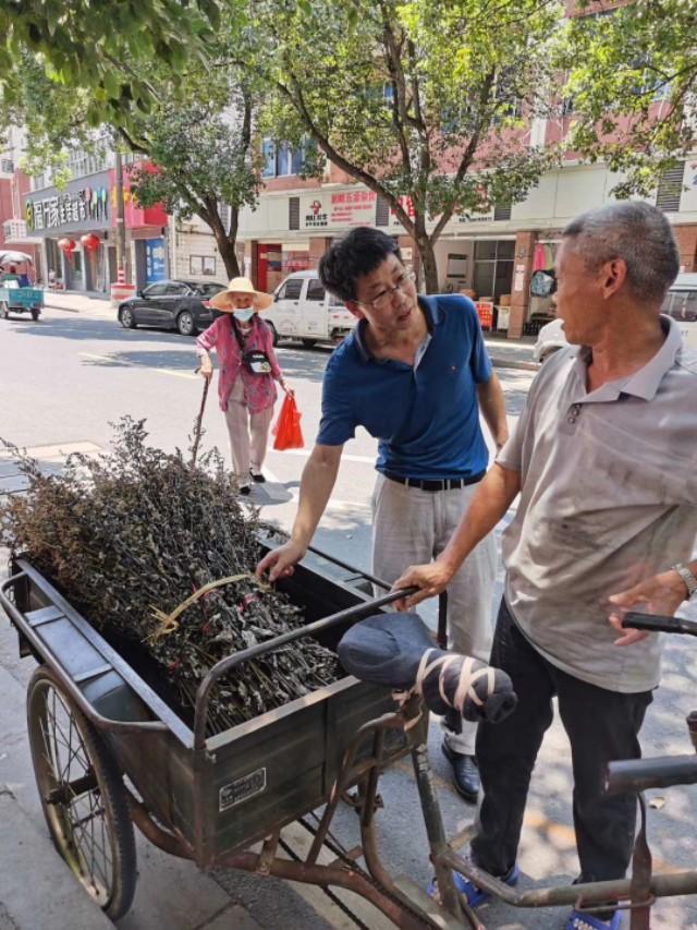 鲁邹随笔丨六月雪,夏天的味道(图4) 鲁邹随笔丨六月雪,夏天的味道(图4)