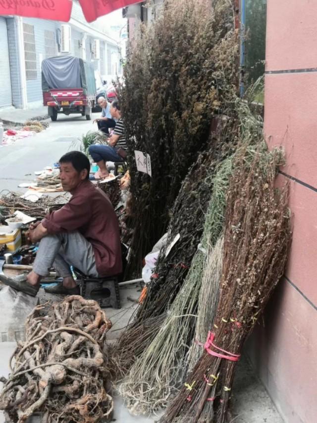鲁邹随笔丨六月雪,夏天的味道(图6) 鲁邹随笔丨六月雪,夏天的味道(图6)