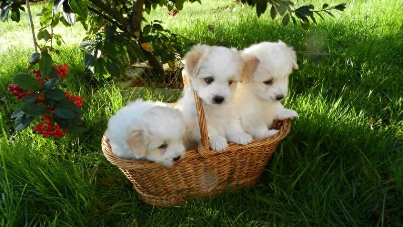 励志语录：用坚持和勇气铺就成功之路，勇往直前(图1)