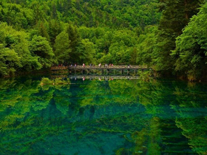 励志语录:用坚持和勇气,铺就通往成功的路(图1) 励志语录:用坚持和勇气,铺就通往成功的路(图1)