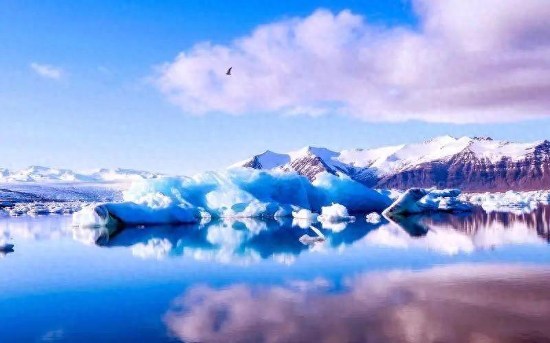 共同渡过悲伤，亲人过世安慰别人的句子(图1)