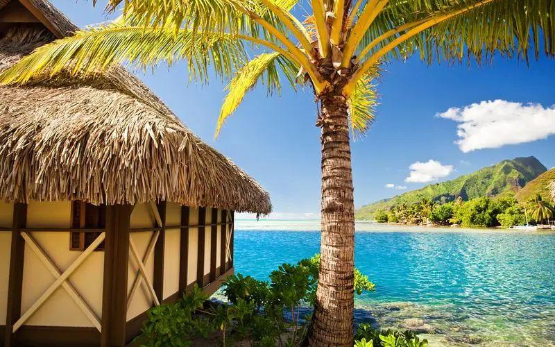 共同渡过悲伤，亲人过世安慰别人的句子(图5)