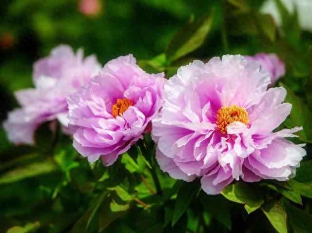 23句关于爱自己的话，希望能给你带来快乐和积极的能量(图1)