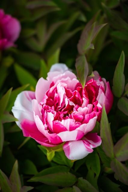 23句关于爱自己的话，希望能给你带来快乐和积极的能量(图2)